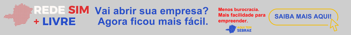 REDE SIM 